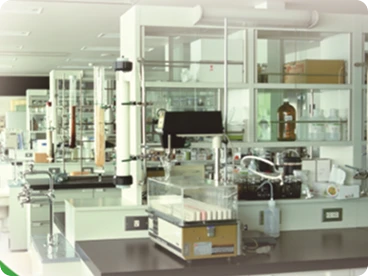 Production line